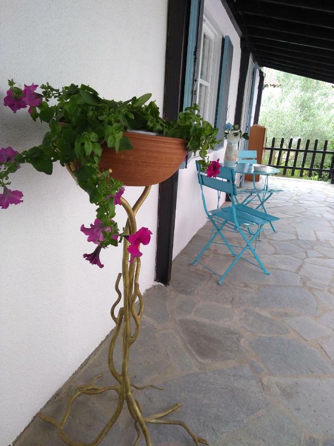 فيلا Sea & Sun House Nea Kallikrateia المظهر الخارجي الصورة